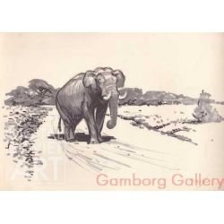 Elephant on the Road - Sri Lanka – Слон