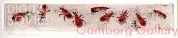 Firebugs (Pyrrhocoris apterus) – Солдатики