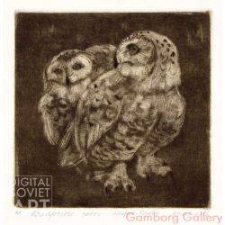 Snowy Owl (Bubo scandiacus)


 – Полярные совы