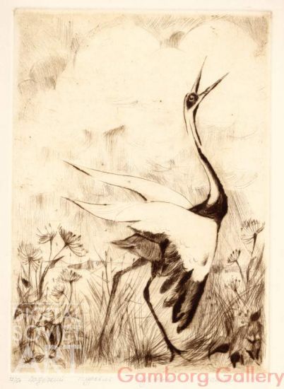 White-naped Crane (Grus vipio) – Даурский журавль



