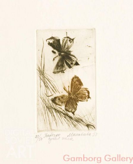 Moths – Мотыльки