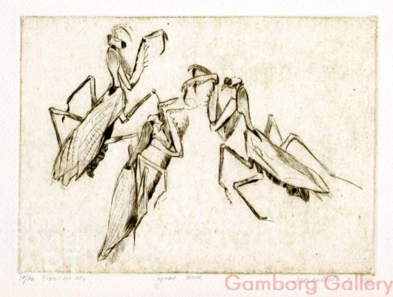 Mantises, or Praying Mantis (Mantodea) – Богомолы