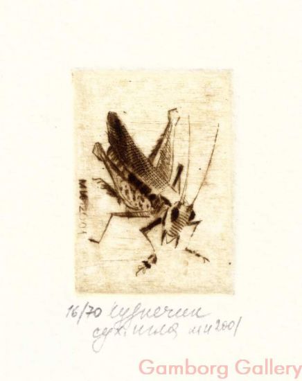 Grasshopper – Кузнечик №2
