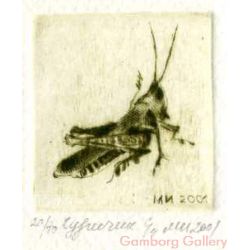 Grasshopper – Кузнечик №4