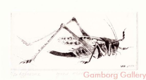 Grasshopper – Кузнечик большой
