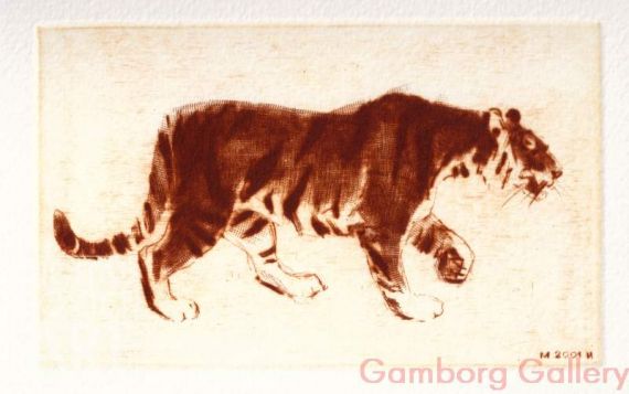 Siberian Tiger (Amurian tiger) Panthera tigris altaica – Амурский тигр малый