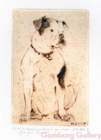 American Bulldog – Американский бульдог Бонни