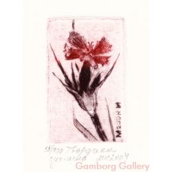 Carnation – Гвоздика