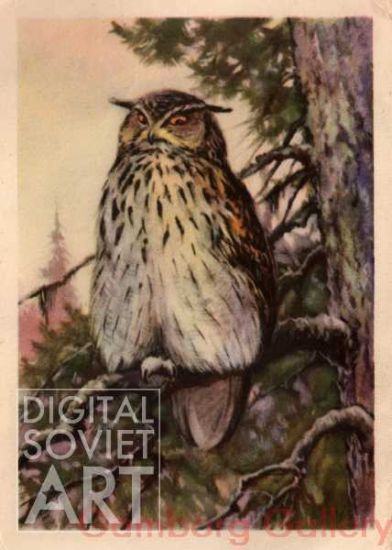 Eagle Owl – Филин