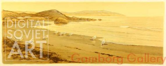 Seagulls on the Beach at the White Sea – Чайки на берегу Белого моря