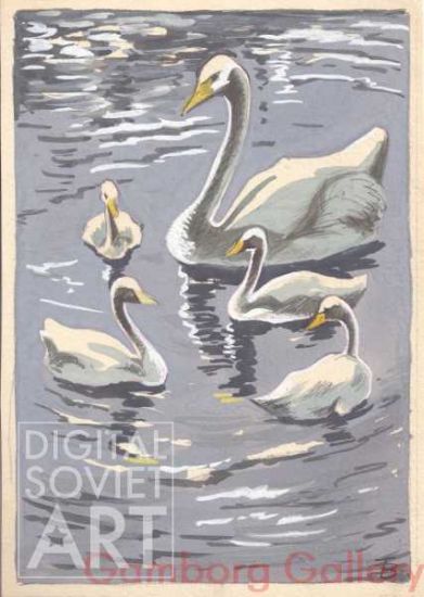 Swans – Лебеды