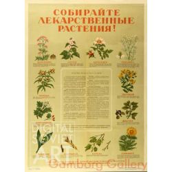 Collect Medicamental Plants ! – Собираете лекарственные растения