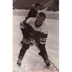 Soviet Ice Hockey Player – Без названия