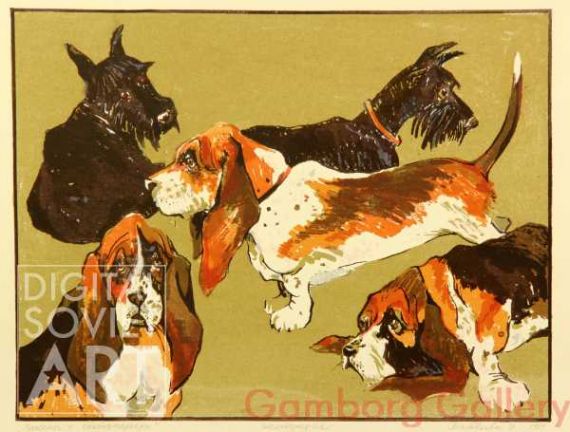 Basset Hounds and Scotch Terriers – Басеты и скотчтерьеры