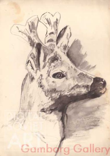 Deer – Без названия