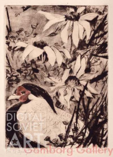 Golden Pheasant (Lophura nycthemera) – Серебряный фазан