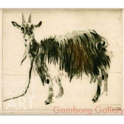 Goat – Коза