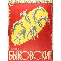 The Bykovsky Acrobats – Акробаты-прыгуны Быковские