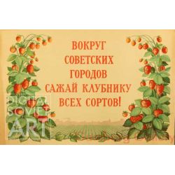 Plant all Breeds of Strawberry Around the Soviet Cities ! – Вокруг советских городов сажай клубнику всех сортов !