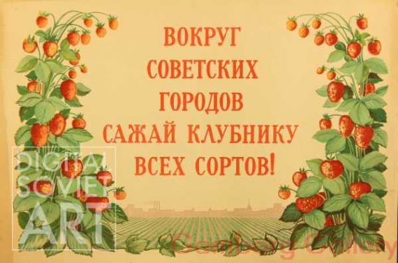 Plant all Breeds of Strawberry Around the Soviet Cities ! – Вокруг советских городов сажай клубнику всех сортов !