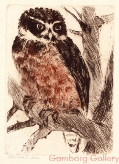 Spectacled Owl (Pulsatrix) – Очковая сова