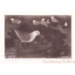 Gulls (Larus) – Чайки


