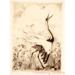 White-naped Crane (Grus vipio) – Даурский журавль


