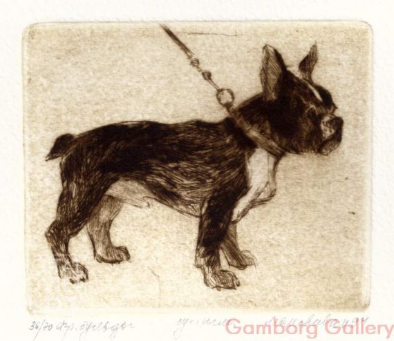 French Bulldog – Французский бульдог