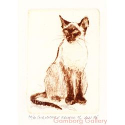 Siamese Cat – Сиамская кошка