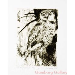 Northern Hawk-Owl (Surnia ulula) – Ястребиная сова