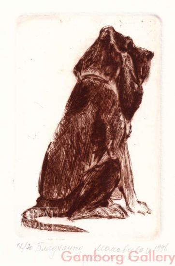 Bloodhound – Бладхаунд