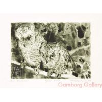 Scops Owl (Otus) – Сплюшки