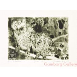 Scops Owl (Otus) – Сплюшки