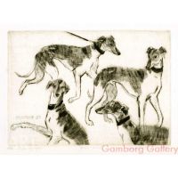 Greyhounds – Грейхаунды