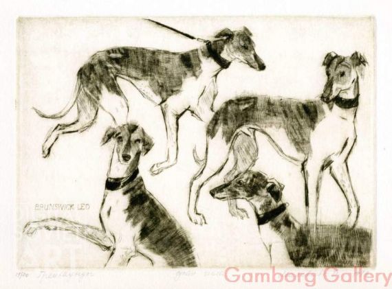 Greyhounds – Грейхаунды
