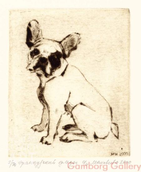 French Bulldog – Дарсик французский бульдог