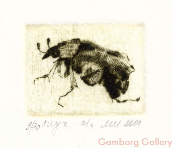 Bug – Жук 5