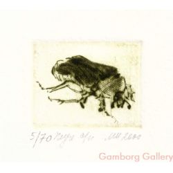 Bug – Жук 6