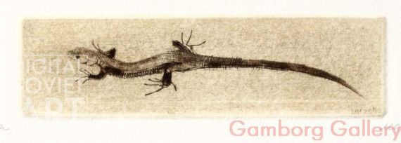 Lizard (Lacertilia) – Ящерица 1
