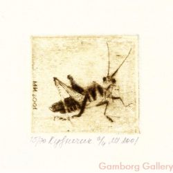 Grasshopper – Кузнечик №8