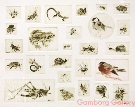 Various Insects and Birds – Ассорти