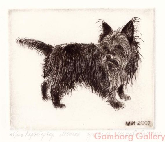Cairn Terrier – Кернтерьер Мошка