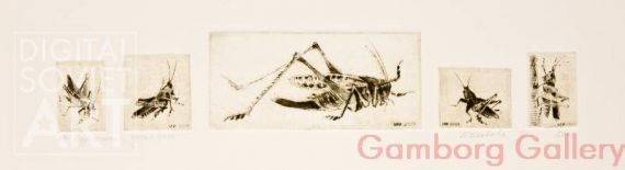Grasshoppers – Кузнечики (общий)