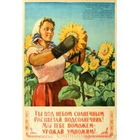 Sunflower, You Will Bloom under the Sun ! We Shall Help You, and Increase the Yield from the Harvest ! – Ты под небом солнечным расцветай, подсолнечник ! Мы тебе поможем - урожай умножем !