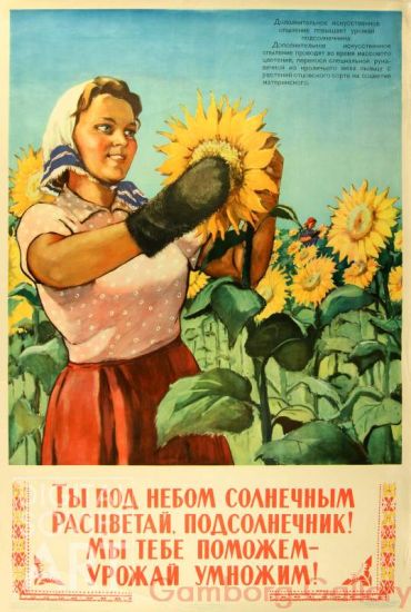 Sunflower, You Will Bloom under the Sun ! We Shall Help You, and Increase the Yield from the Harvest ! – Ты под небом солнечным расцветай, подсолнечник ! Мы тебе поможем - урожай умножем !