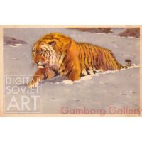 Siberian Tiger – Уссурийский тигр