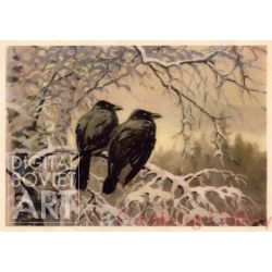 Ravens – Вороны