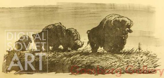 Bisons on the American Prairie – Бизоны в американских прериях