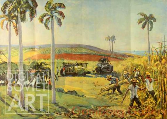 Harvesting Sugar Cane on Cuba – Уборка сахарного тростника на кубе