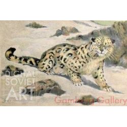 Snow Leopard – Барс